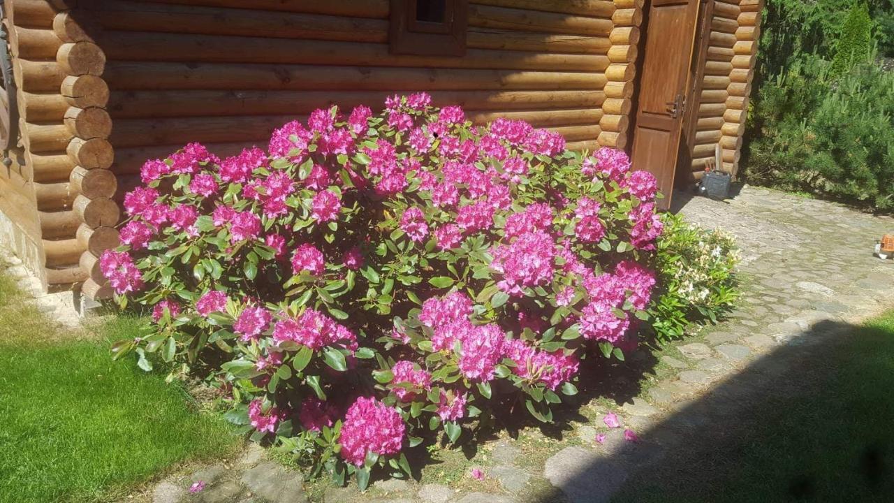 Sveciu Namelis Hotell Šiauliai Exteriör bild